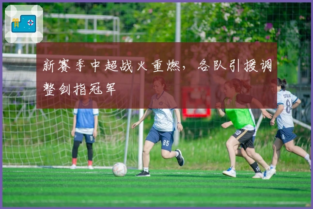 新赛季中超战火重燃，各队引援调整剑指冠军