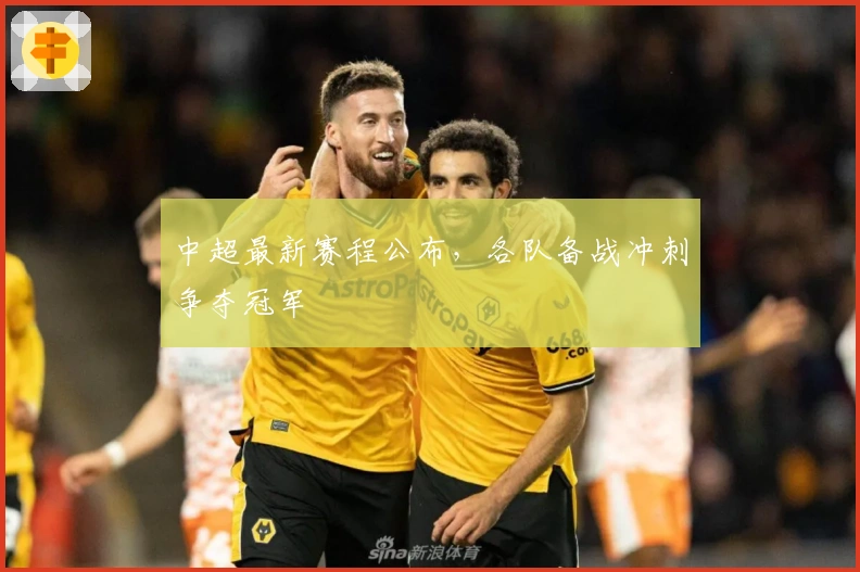 中超最新赛程公布，各队备战冲刺争夺冠军 태